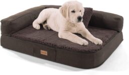 Top 10 Der Besten Orthopädische Hundebetten 2026